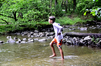 Cades Cove Aug-2012 (12)