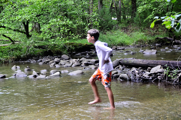 Cades Cove Aug-2012 (12)