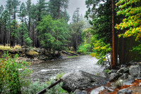 Yosemite Valley 2010 (96)