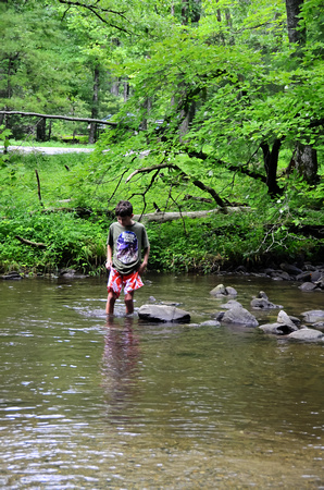 Cades Cove Aug-2012 (13)