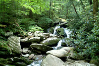 Mountain Stream