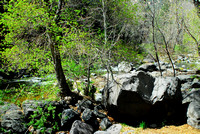 Oak Creek Canyon 4-16-2010 (1)