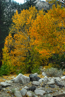 Yosemite - Sonora Pass 2010 (7)