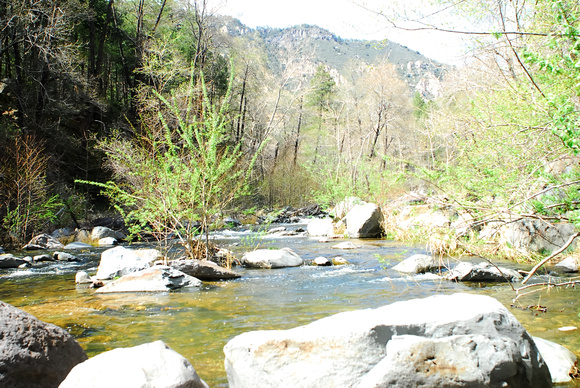 Oak Creek Canyon 4-16-2010 (9)