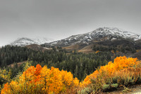 Yosemite - Sonora Pass 2010 (47)