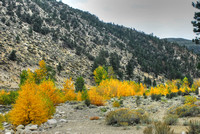 Yosemite - Sonora Pass 2010 (32)