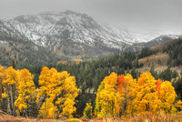 Yosemite - Sonora Pass 2010 (46)