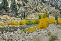 Yosemite - Sonora Pass 2010 (29)