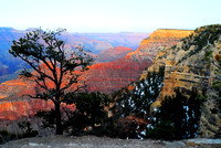 Grand Canyon South Rim 4-15-2010 (67)_Compressor