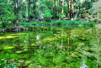 Yosemite Valley 2010 (605)