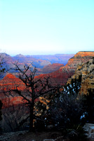 Grand Canyon South Rim 4-15-2010 (36)_Compressor