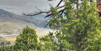 Yosemite - Sonora Pass 2010 (44)a