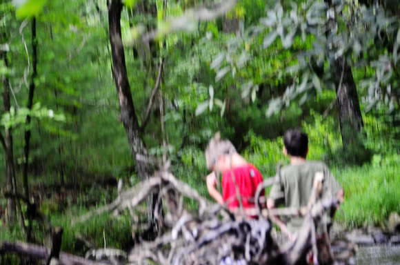 Cades Cove Aug-2012 (17)