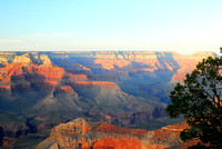 Grand Canyon South Rim 4-15-2010 (56)_Compressor