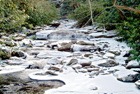 Stream After Snow