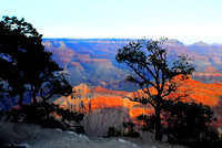 Grand Canyon South Rim 4-15-2010 (64)_Compressor