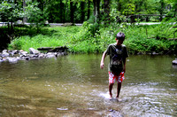 Cades Cove Aug-2012 (14)