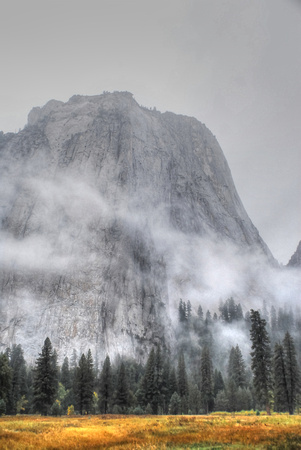 Yosemite Valley 2010 (90)