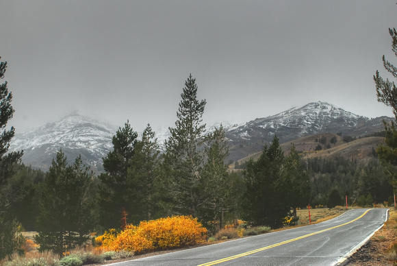 Yosemite - Sonora Pass 2010 (12)