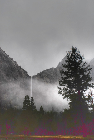 Yosemite Valley 2010 (95)