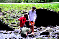 Cades Cove Aug-2012 (15)