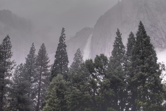 Yosemite Valley 2010 (63)