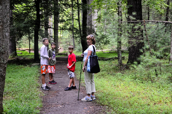 Cades Cove Aug-2012 (2)