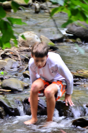 Cades Cove Aug-2012 (20)