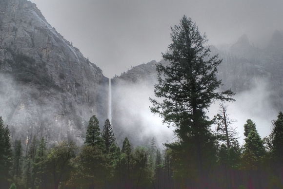 Yosemite Valley 2010 (99)